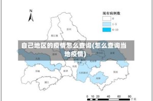 自己地区的疫情怎么查询(怎么查询当地疫情)