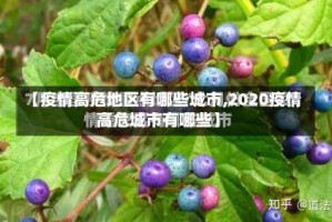 【疫情高危地区有哪些城市,2020疫情高危城市有哪些】