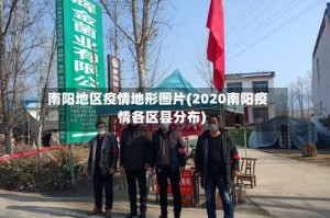 南阳地区疫情地形图片(2020南阳疫情各区县分布)