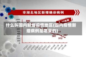 什么叫国内新增疫情地区(国内疫情新增病例是哪里的)