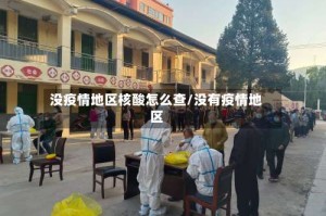 没疫情地区核酸怎么查/没有疫情地区