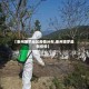 【惠州博罗地区疫情分布,惠州博罗最新疫情】