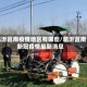 临沂莒南疫情地区有哪些/临沂莒南新冠疫情最新消息