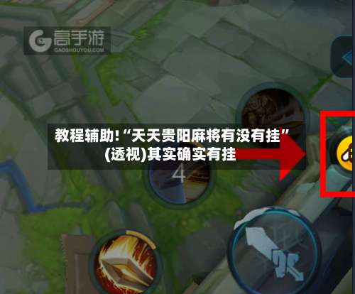 教程辅助!“天天贵阳麻将有没有挂”(透视)其实确实有挂-第2张图片