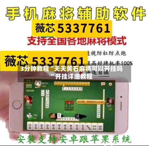 3分钟教程“天天黄石麻将可以开挂吗”开挂详细教程-第2张图片