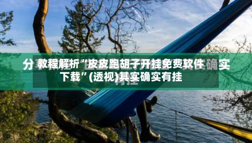 教程解析“皮皮跑胡子开挂免费软件下载”(透视)其实确实有挂-第1张图片