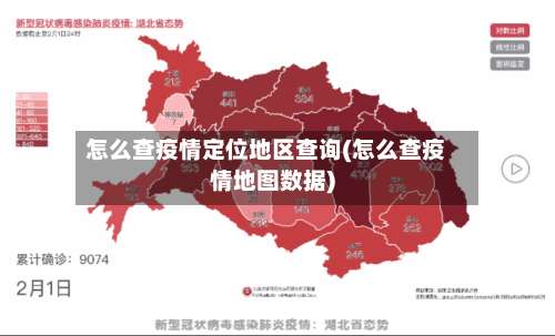 怎么查疫情定位地区查询(怎么查疫情地图数据)-第1张图片