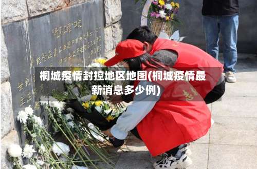 桐城疫情封控地区地图(桐城疫情最新消息多少例)-第3张图片