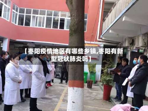 【枣阳疫情地区有哪些乡镇,枣阳有新型冠状肺炎吗】-第2张图片