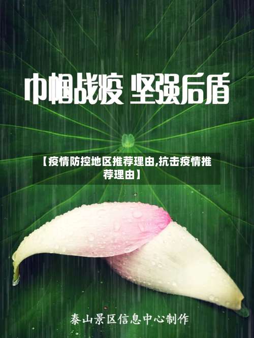 【疫情防控地区推荐理由,抗击疫情推荐理由】-第2张图片