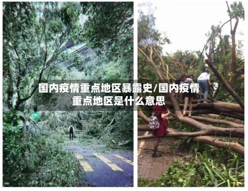 国内疫情重点地区暴露史/国内疫情重点地区是什么意思-第1张图片