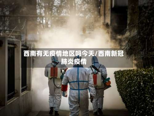 西南有无疫情地区吗今天/西南新冠肺炎疫情-第3张图片