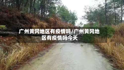 广州黄冈地区有疫情吗/广州黄冈地区有疫情吗今天-第1张图片