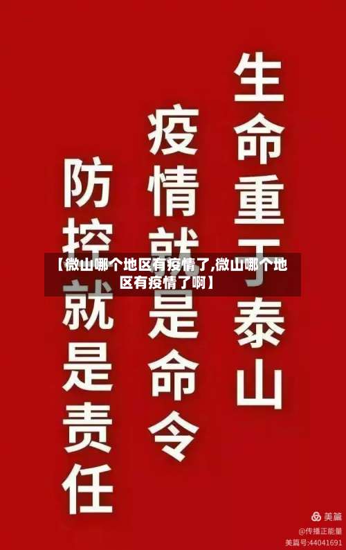 【微山哪个地区有疫情了,微山哪个地区有疫情了啊】-第2张图片