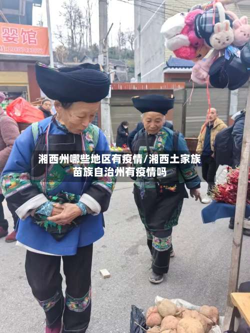 湘西州哪些地区有疫情/湘西土家族苗族自治州有疫情吗-第3张图片