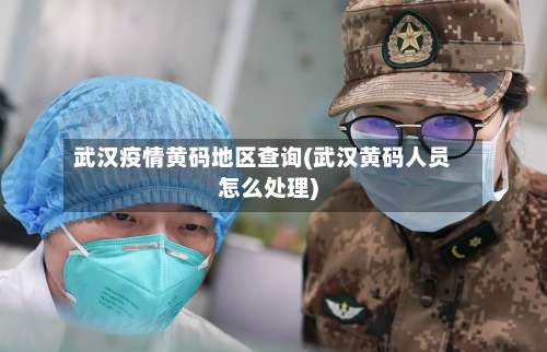 武汉疫情黄码地区查询(武汉黄码人员怎么处理)-第1张图片