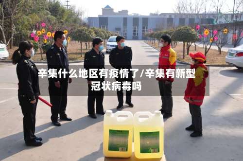 辛集什么地区有疫情了/辛集有新型冠状病毒吗-第3张图片