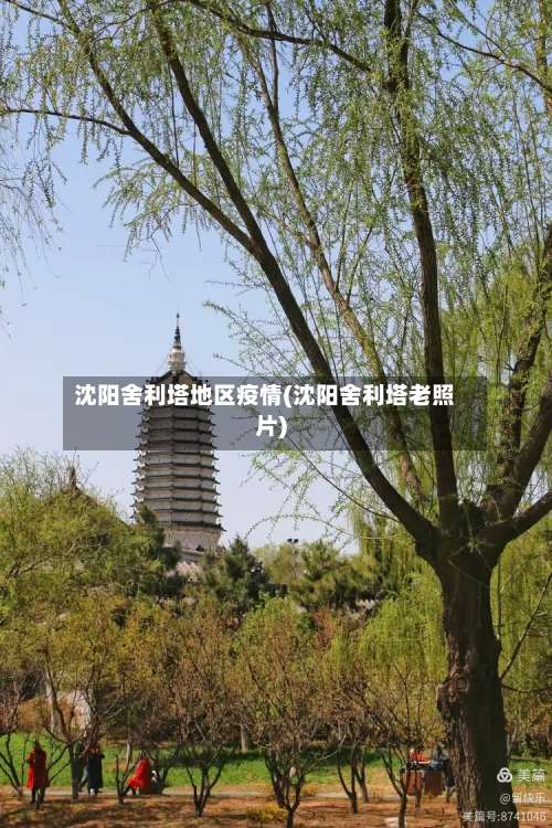 沈阳舍利塔地区疫情(沈阳舍利塔老照片)-第1张图片