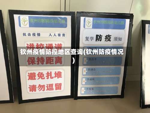 钦州疫情防控地区查询(钦州防疫情况)-第3张图片