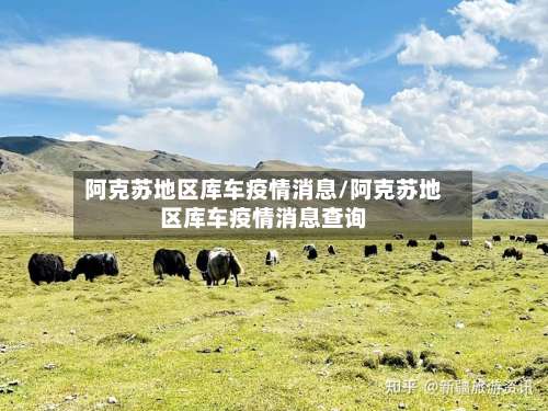 阿克苏地区库车疫情消息/阿克苏地区库车疫情消息查询-第3张图片