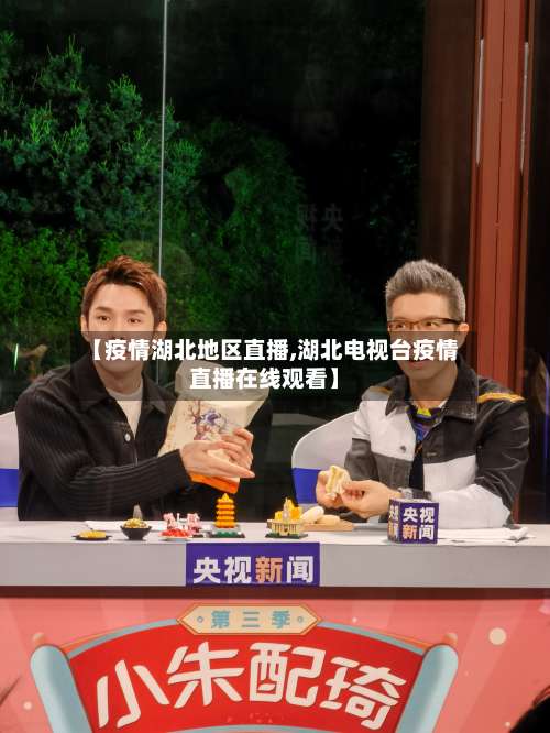 【疫情湖北地区直播,湖北电视台疫情直播在线观看】-第3张图片