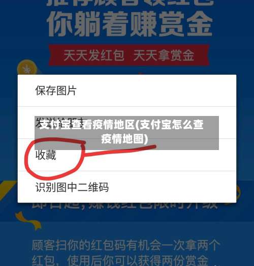 支付宝查看疫情地区(支付宝怎么查疫情地图)-第3张图片