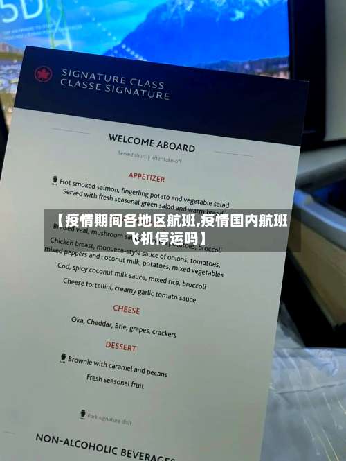 【疫情期间各地区航班,疫情国内航班飞机停运吗】-第3张图片