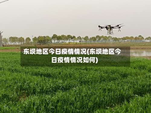 东坝地区今日疫情情况(东坝地区今日疫情情况如何)-第1张图片