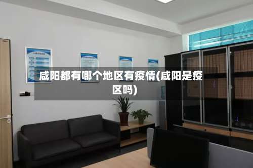 咸阳都有哪个地区有疫情(咸阳是疫区吗)-第2张图片
