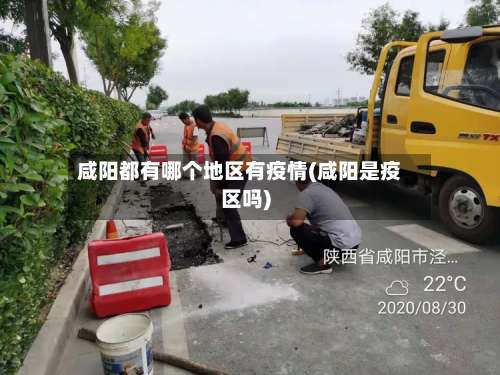 咸阳都有哪个地区有疫情(咸阳是疫区吗)-第3张图片