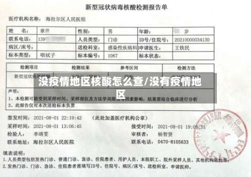 没疫情地区核酸怎么查/没有疫情地区-第3张图片