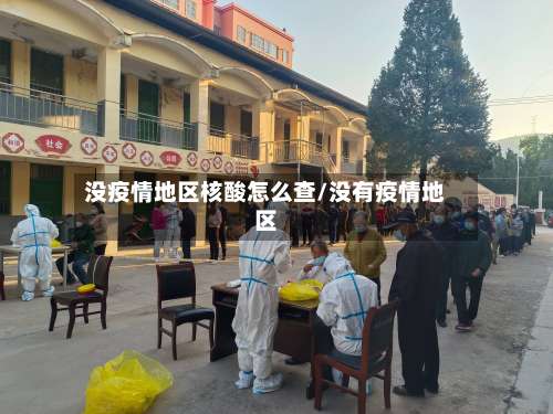 没疫情地区核酸怎么查/没有疫情地区-第1张图片
