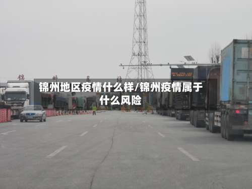 锦州地区疫情什么样/锦州疫情属于什么风险-第1张图片