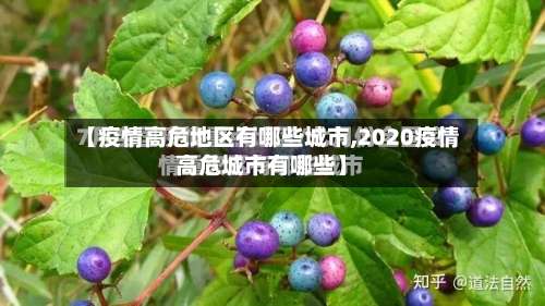 【疫情高危地区有哪些城市,2020疫情高危城市有哪些】-第1张图片
