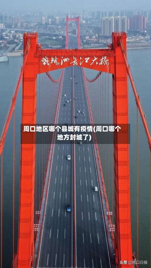 周口地区哪个县城有疫情(周口哪个地方封城了)-第3张图片