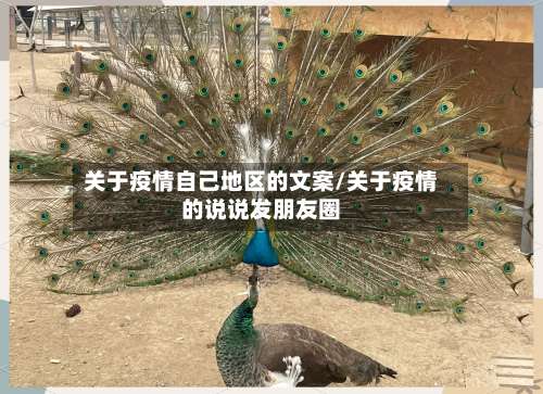 关于疫情自己地区的文案/关于疫情的说说发朋友圈-第1张图片