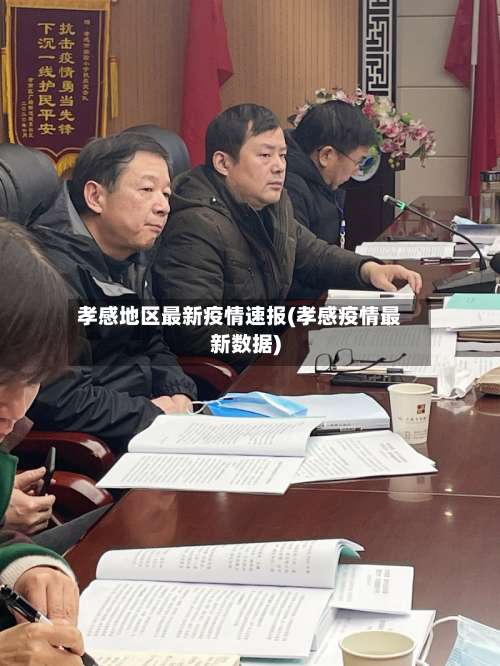孝感地区最新疫情速报(孝感疫情最新数据)-第3张图片