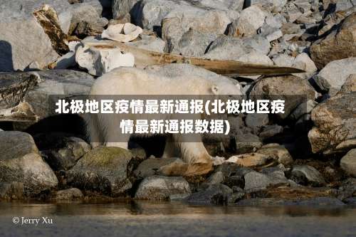 北极地区疫情最新通报(北极地区疫情最新通报数据)-第2张图片