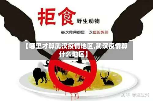 【哪里才算武汉疫情地区,武汉疫情算什么地区】-第1张图片