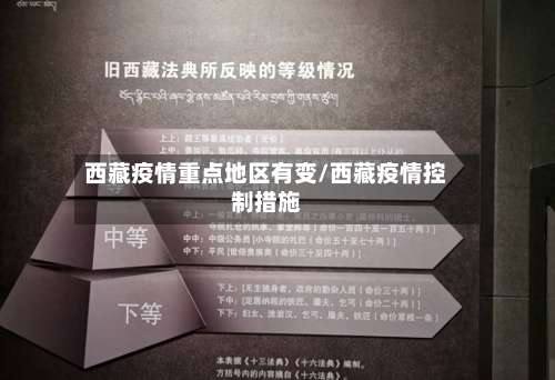 西藏疫情重点地区有变/西藏疫情控制措施-第2张图片