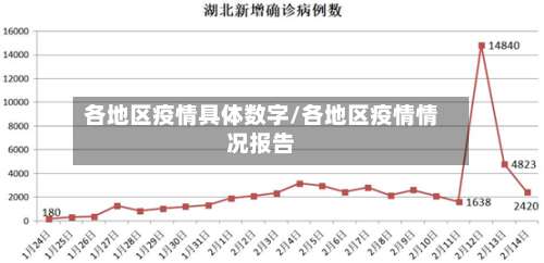 各地区疫情具体数字/各地区疫情情况报告-第3张图片