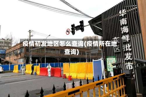 疫情初发地区怎么查询(疫情所在地查询)-第2张图片