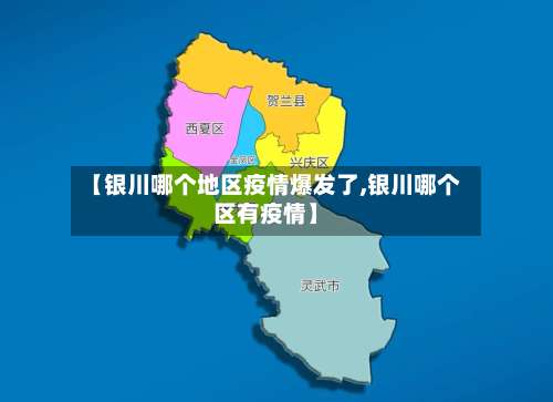 【银川哪个地区疫情爆发了,银川哪个区有疫情】-第3张图片