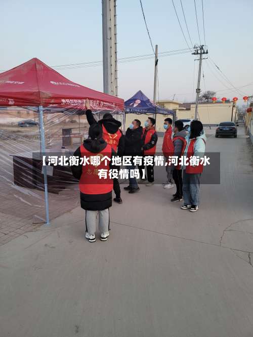 【河北衡水哪个地区有疫情,河北衡水有役情吗】-第3张图片