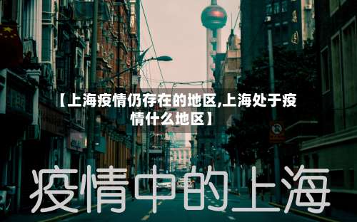 【上海疫情仍存在的地区,上海处于疫情什么地区】-第2张图片