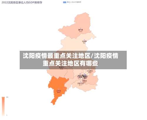沈阳疫情最重点关注地区/沈阳疫情重点关注地区有哪些-第1张图片