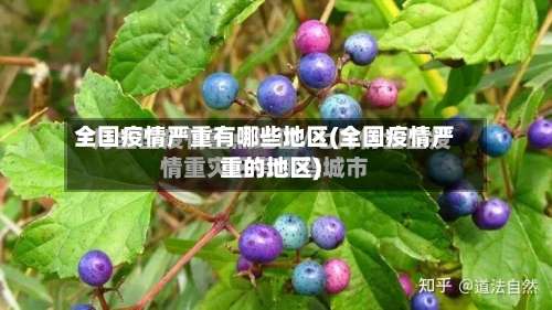 全国疫情严重有哪些地区(全国疫情严重的地区)-第1张图片