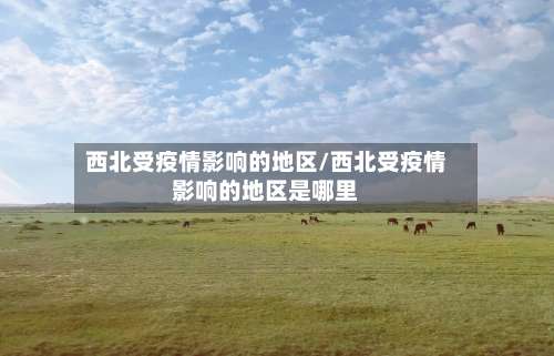 西北受疫情影响的地区/西北受疫情影响的地区是哪里-第1张图片