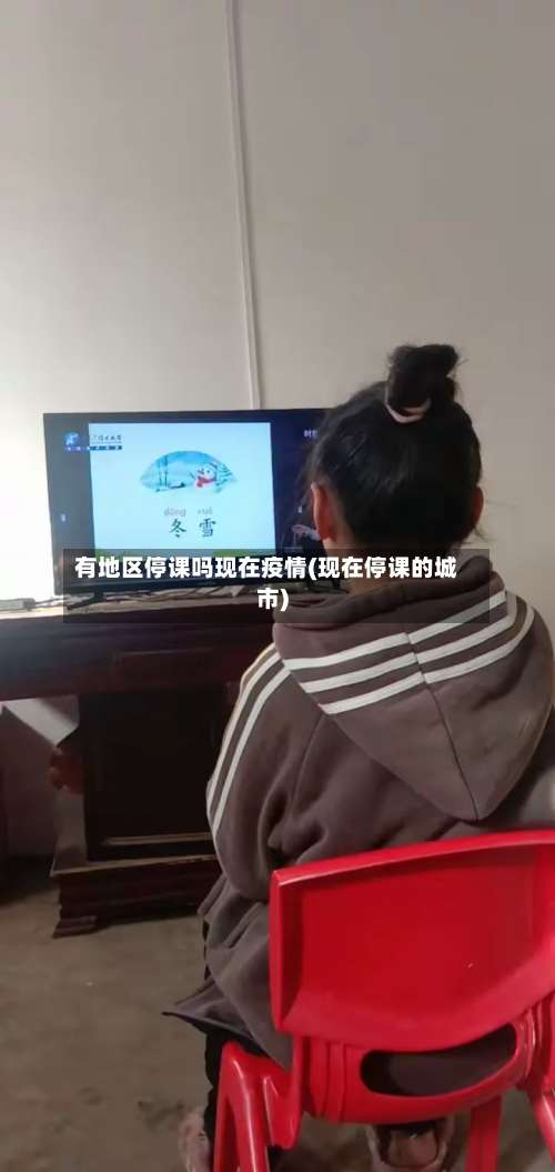 有地区停课吗现在疫情(现在停课的城市)-第1张图片