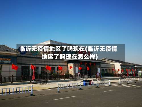 临沂无疫情地区了吗现在(临沂无疫情地区了吗现在怎么样)-第3张图片
